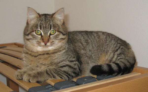 Barbara