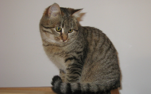 Barbara