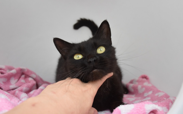 Sabrina