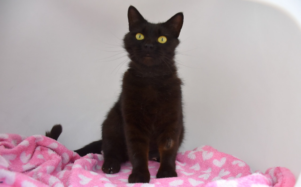 Sabrina