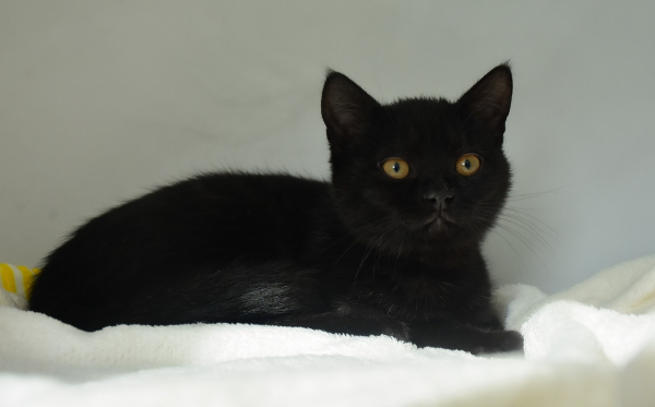 Zoja in Leni