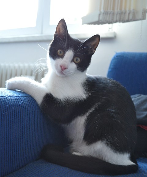 Sonny