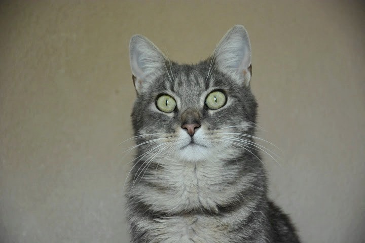 Lenny