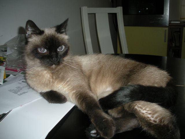 Gina