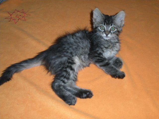 Hugo