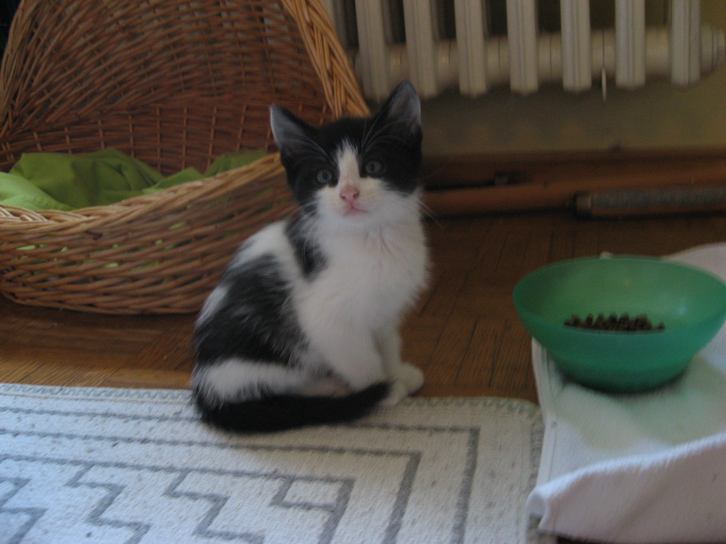 Little