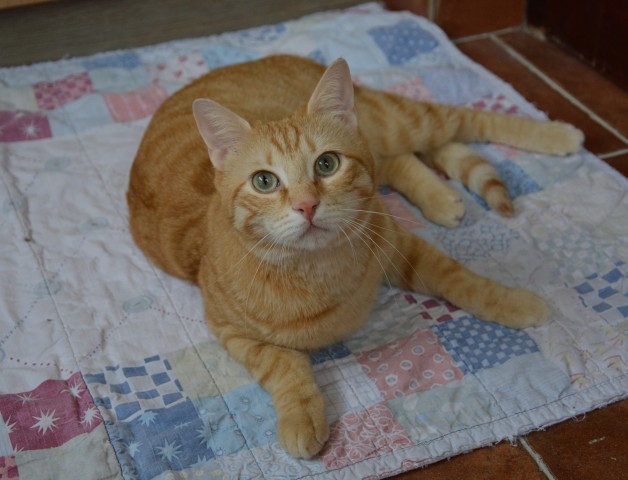 Lovro