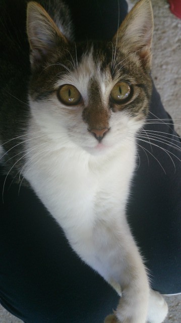 Maru