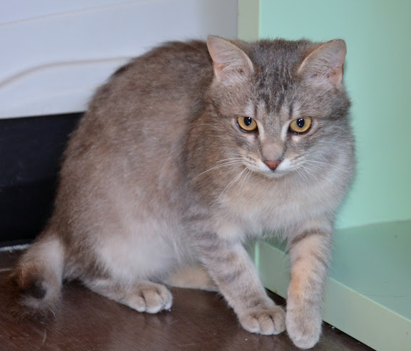Max